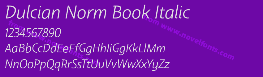 Dulcian Norm Book ItalicPreview