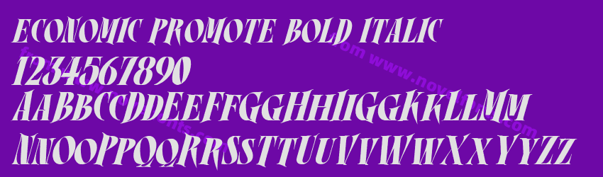 ECONOMIC PROMOTE BOLD ITALICPreview ECONOMIC PROMOTE BOLD ITALICPreview
