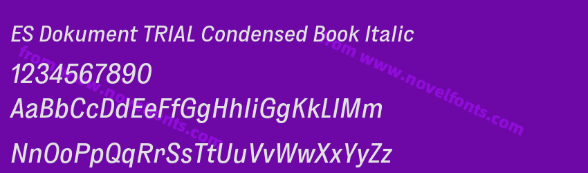 ES Dokument TRIAL Condensed Book ItalicPreview