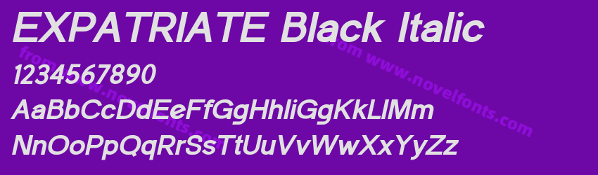 EXPATRIATE Black ItalicPreview EXPATRIATE Black ItalicPreview