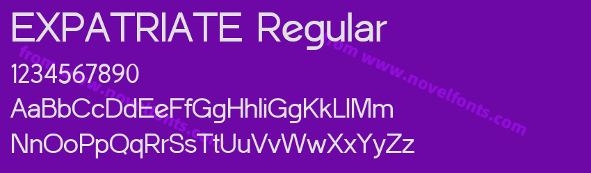 EXPATRIATE RegularPreview