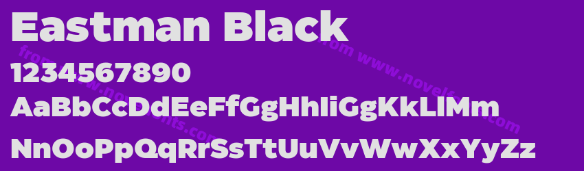 Eastman BlackPreview