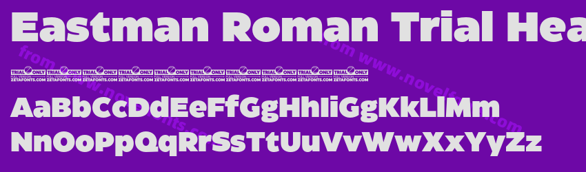 Eastman Roman Trial HeavyPreview