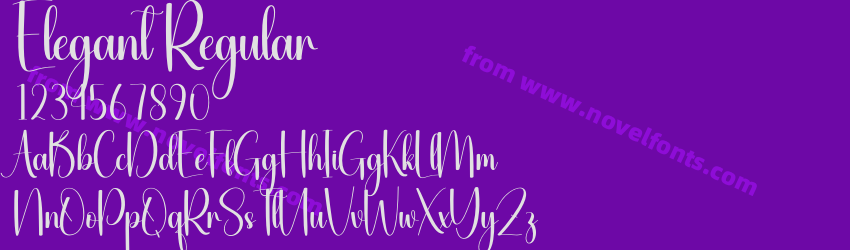 Elegant RegularPreview Elegant RegularPreview