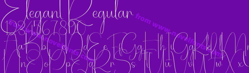 Elegant RegularPreview Elegant RegularPreview