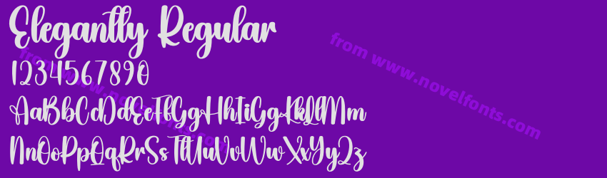 Elegantly RegularPreview Elegantly RegularPreview