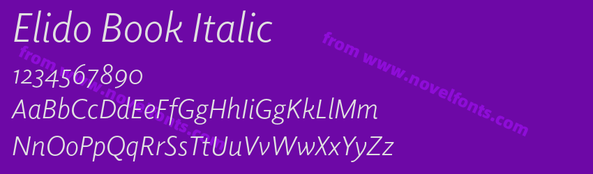 Elido Book ItalicPreview Elido Book ItalicPreview
