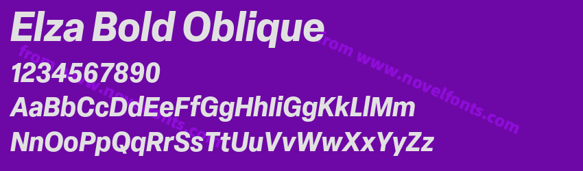 Elza Bold ObliquePreview Elza Bold ObliquePreview