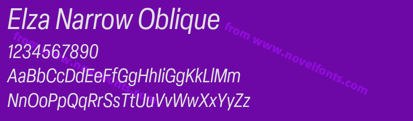 Elza Narrow ObliquePreview Elza Narrow ObliquePreview
