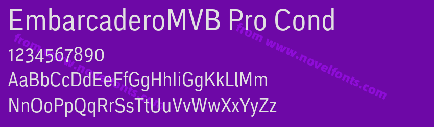 EmbarcaderoMVB Pro CondPreview EmbarcaderoMVB Pro CondPreview