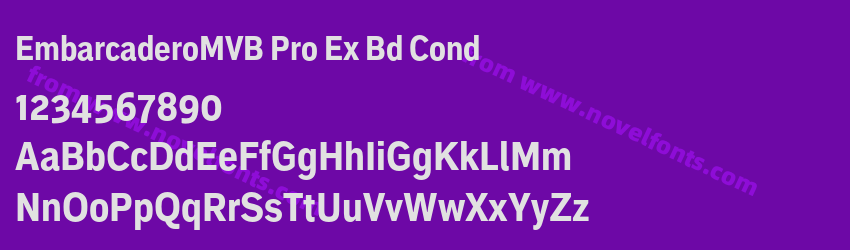 EmbarcaderoMVB Pro Ex Bd CondPreview EmbarcaderoMVB Pro Ex Bd CondPreview