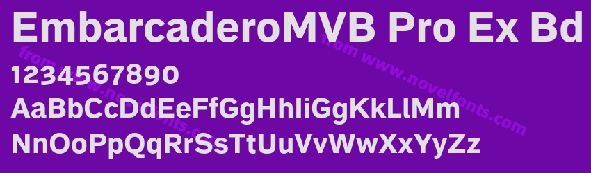 EmbarcaderoMVB Pro Ex BdPreview EmbarcaderoMVB Pro Ex BdPreview