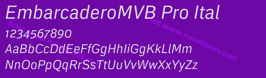EmbarcaderoMVB Pro ItalPreview EmbarcaderoMVB Pro ItalPreview