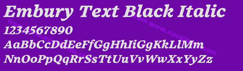 Embury Text Black ItalicPreview Embury Text Black ItalicPreview