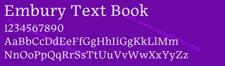 Embury Text BookPreview Embury Text BookPreview