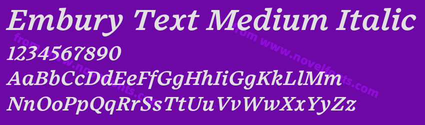 Embury Text Medium ItalicPreview Embury Text Medium ItalicPreview