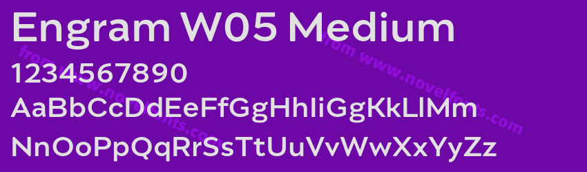 Engram W05 MediumPreview Engram W05 MediumPreview