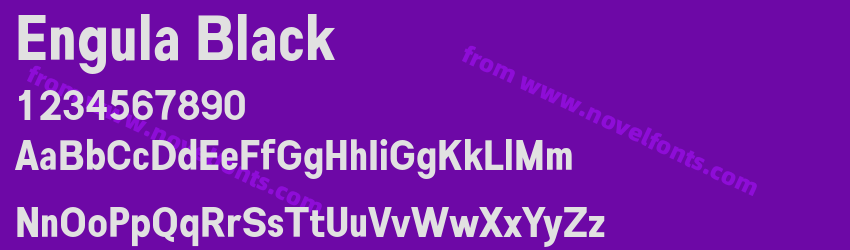 Engula BlackPreview Engula BlackPreview