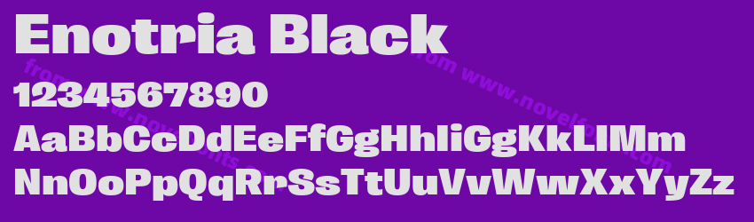 Enotria BlackPreview Enotria BlackPreview