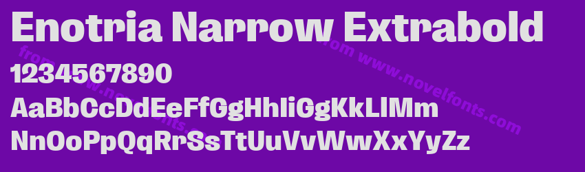Enotria Narrow ExtraboldPreview