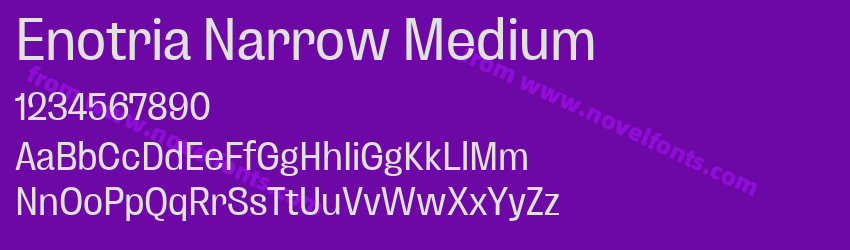 Enotria Narrow MediumPreview Enotria Narrow MediumPreview