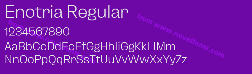 Enotria RegularPreview Enotria RegularPreview