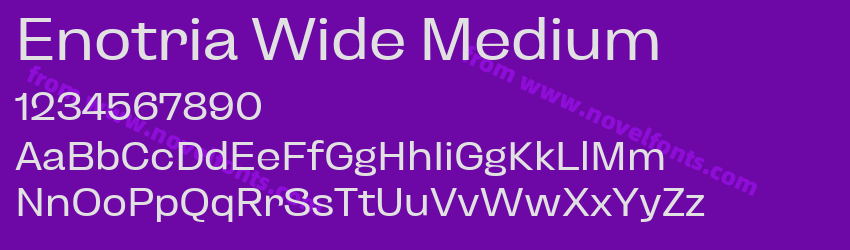 Enotria Wide MediumPreview Enotria Wide MediumPreview