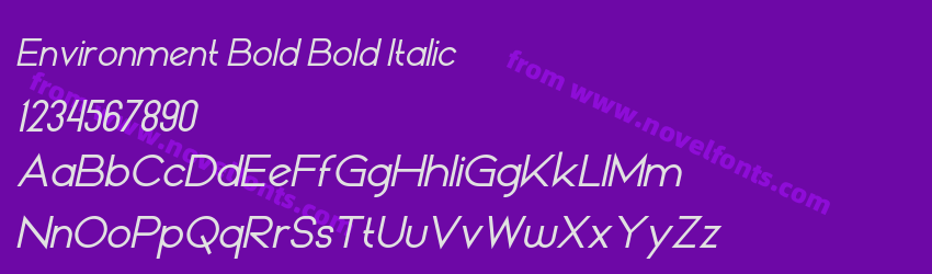 Environment Bold Bold ItalicPreview Environment Bold Bold ItalicPreview