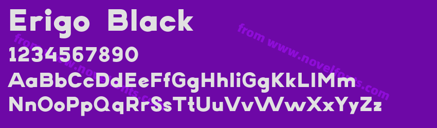Erigo BlackPreview Erigo BlackPreview