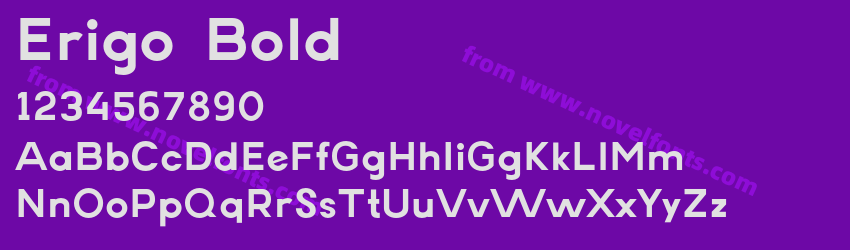 Erigo BoldPreview Erigo BoldPreview