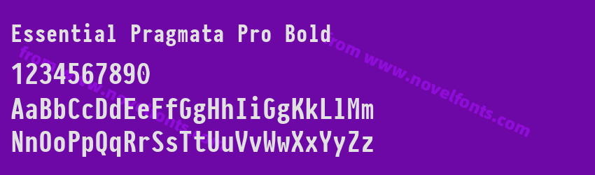 Essential Pragmata Pro BoldPreview Essential Pragmata Pro BoldPreview