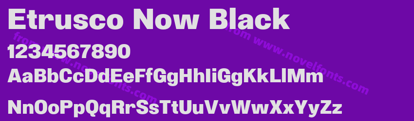 Etrusco Now BlackPreview Etrusco Now BlackPreview