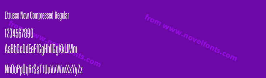 Etrusco Now Compressed RegularPreview Etrusco Now Compressed RegularPreview