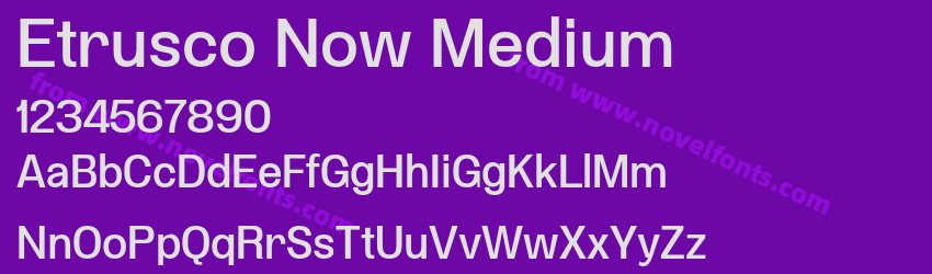 Etrusco Now MediumPreview Etrusco Now MediumPreview