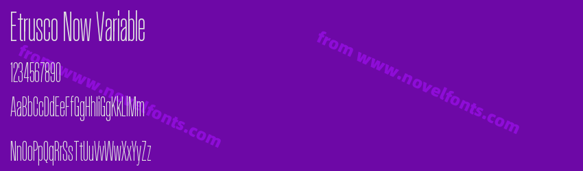 Etrusco Now VariablePreview Etrusco Now VariablePreview