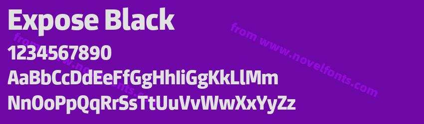 Expose BlackPreview Expose BlackPreview