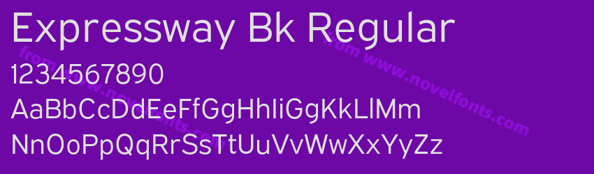 Expressway Bk RegularPreview Expressway Bk RegularPreview