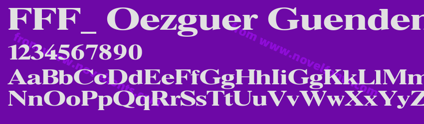 FFF_ Oezguer Guendem BoldPreview