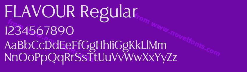 FLAVOUR RegularPreview FLAVOUR RegularPreview