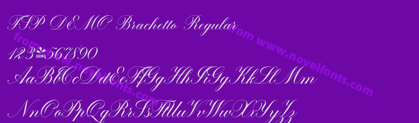 FSP DEMO Brachetto RegularPreview FSP DEMO Brachetto RegularPreview