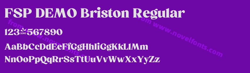 FSP DEMO Briston RegularPreview FSP DEMO Briston RegularPreview