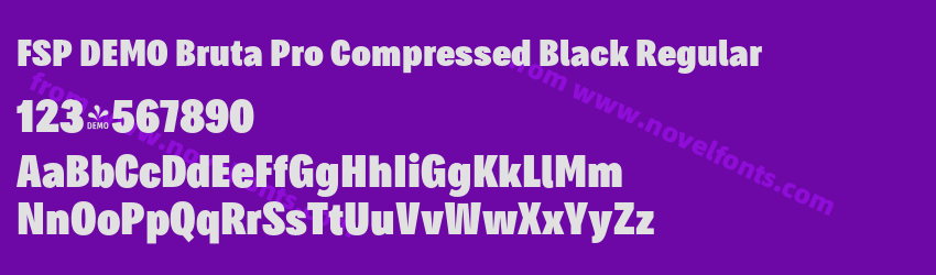 FSP DEMO Bruta Pro Compressed Black RegularPreview FSP DEMO Bruta Pro Compressed Black RegularPreview