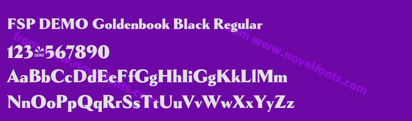 FSP DEMO Goldenbook Black RegularPreview FSP DEMO Goldenbook Black RegularPreview