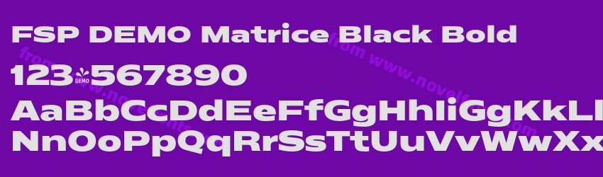 FSP DEMO Matrice Black BoldPreview