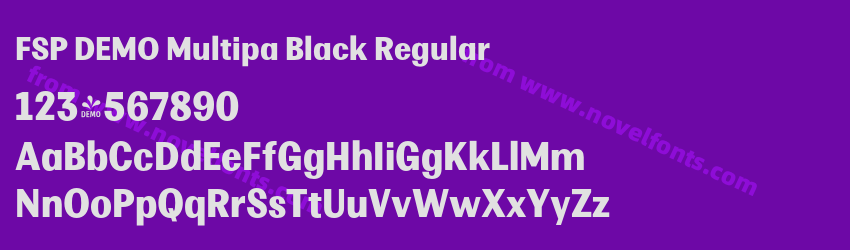 FSP DEMO Multipa Black RegularPreview FSP DEMO Multipa Black RegularPreview