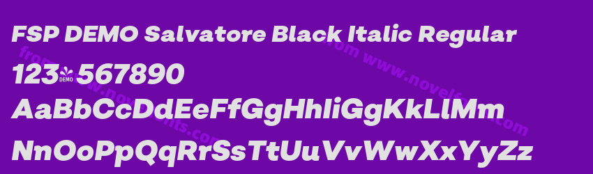 FSP DEMO Salvatore Black Italic RegularPreview FSP DEMO Salvatore Black Italic RegularPreview