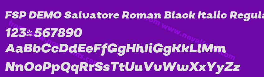 FSP DEMO Salvatore Roman Black Italic RegularPreview FSP DEMO Salvatore Roman Black Italic RegularPreview