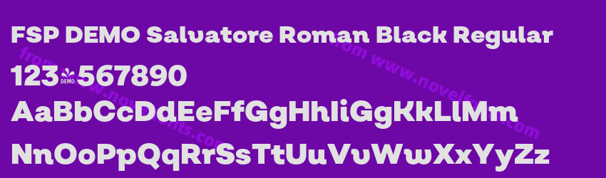 FSP DEMO Salvatore Roman Black RegularPreview