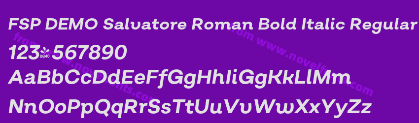FSP DEMO Salvatore Roman Bold Italic RegularPreview FSP DEMO Salvatore Roman Bold Italic RegularPreview