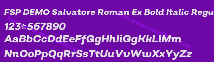 FSP DEMO Salvatore Roman Ex Bold Italic RegularPreview